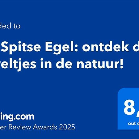 De Spitse Egel: Ontdek De Pareltjes In De Natuur! Otterlo Luaran gambar