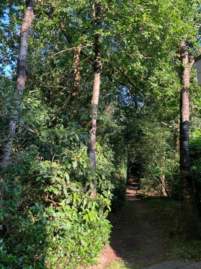 De Spitse Egel: Ontdek De Pareltjes In De Natuur! Otterlo Luaran gambar