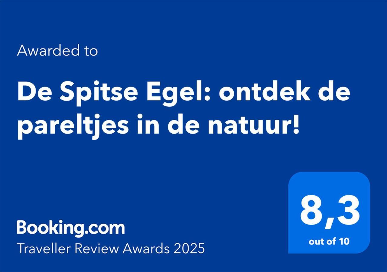 De Spitse Egel: Ontdek De Pareltjes In De Natuur! Otterlo Luaran gambar